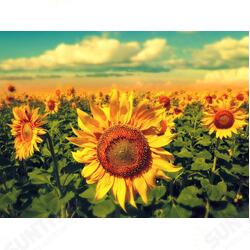 Gold Sunflower Area Floor Rug Carpet For Bedroom Living Room Home Decoration Gold Sunflower Area Floor Rug Carpet For Bedroom Living Room Home Decoration