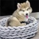 Knitted Pet Bed Dog Cat Bed Puppy Pillow House Soft Warm Dog House Mat