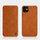 Brown1 