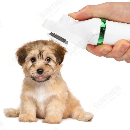 2 in 1 Portable Pet Hair Dryer Comb Brush Pet Grooming Cat Hair Comb Dog Dryer