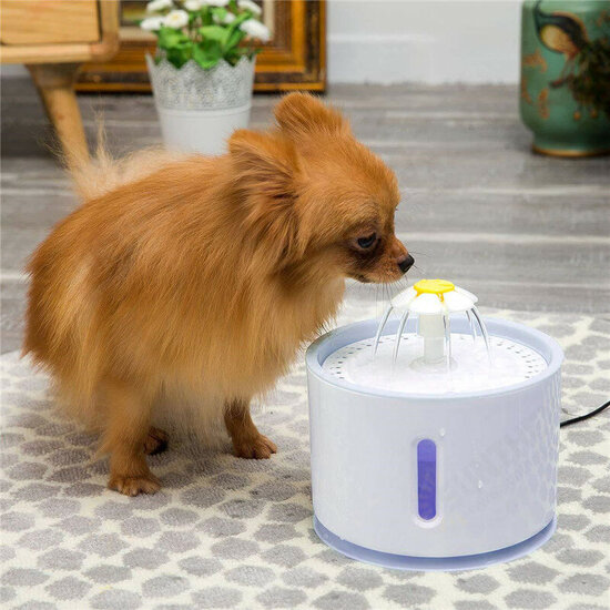 Cat Pet Water Fountain Dog Drinking Bowl Pet USB Automatic Water Dispenser Super Quiet Drinker Auto Feeder