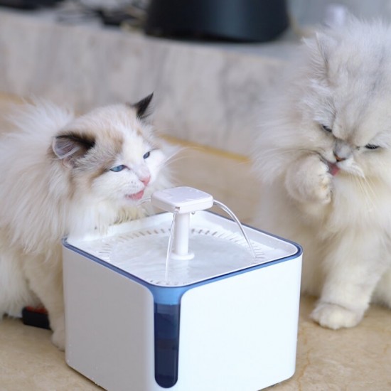 3L Pet Foutain Drinker Smart Cat Water Dispenser Feeder Dog Bowls Puppy Supplies 38db Silent Multiple Filtration Detachable