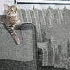 Furniture Protectors from Cats, 6Pcs Cat Scratch Deterrent Tape Anti-Scratch Cat Double Sided Anti Scratch Tape for Cats | Furniture, Couch, Door, Table Legs Protector Furniture Protectors from Cats, 6Pcs Cat Scratch Deterrent Tape Anti-Scratch Cat Double Sided Anti Scratch Tape for Cats | Furniture, Couch, Door, Table Legs Protector
