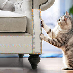 Pet Scratch Tape Deterrent 4inch x 33 Yards (33% Wider) Furniture Protectors from Cats Cat Training Tape Scratch Pad Double-Sided Furniture Protectors Pet Scratch Tape Deterrent 4inch x 33 Yards (33% Wider) Furniture Protectors from Cats Cat Training Tape Scratch Pad Double-Sided Furniture Protectors