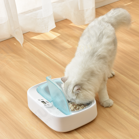 PF003 Two-Meal Pet Feeder Smart Puppy Intelligent Dog Supplies Separable Cat Double Bowls Timing Dish Feeding