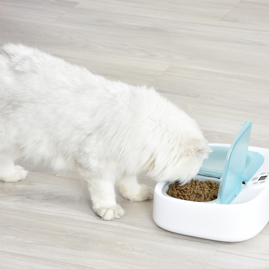 PF003 Two-Meal Pet Feeder Smart Puppy Intelligent Dog Supplies Separable Cat Double Bowls Timing Dish Feeding