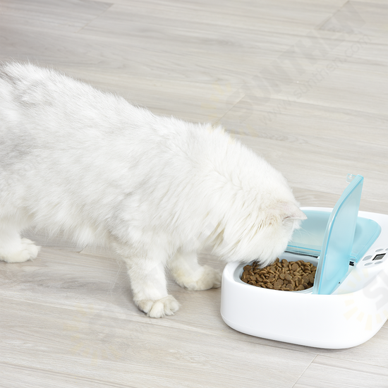 PF003 Two-Meal Pet Feeder Smart Puppy Intelligent Dog Supplies Separable Cat Double Bowls Timing Dish Feeding