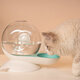 Snails Bubble Automatic Cat Water Bowl Fountain for Pets Water Dispenser Large Drinking Bowl Cat Drink