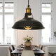 110V-250V 27cm Retro Chandeliers Pendant Lights E26/E27 Black Pendant Lighting For Home Without Bulb