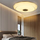 114LED Music Ceiling Lamp+Remote Control Bedroom Living Room Study AC180-265V