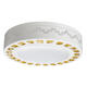 220V 12W Dimmable LED Round Ceiling Light Fixture Thin Flush Mount Home 220V 12W Dimmable LED Round Ceiling Light Fixture Thin Flush Mount Home
