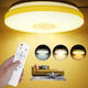 48W LED Ceiling Light Remote Control for Living Room Bedroom Kitchen AC180-260V 3 Modes