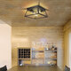 E26 Industrial Ceiling Light Hallway Dining Room Farmhouse Lighting Lamp Fixture Without Bulbs E26 Industrial Ceiling Light Hallway Dining Room Farmhouse Lighting Lamp Fixture Without Bulbs
