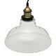 E27 220V Vintage Industrial Pendant Light Horn-like Glass Shade Without Bulb