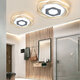 Modern Acrylic LED Ceiling Light Entrance Corridor Balcony Lamp Fixtures 220V Modern Acrylic LED Ceiling Light Entrance Corridor Balcony Lamp Fixtures 220V