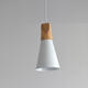 Single Head Diameter 11CM Creative Bar Coffee Dining Room Pendant Hanging Ceiling Light Fixture