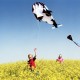 Outdoor 3D Large Kite Whale Software Beach Kite Cartoon Animal Kites Single Line Frameless Huge With Handle Gift for Kids Adult Family