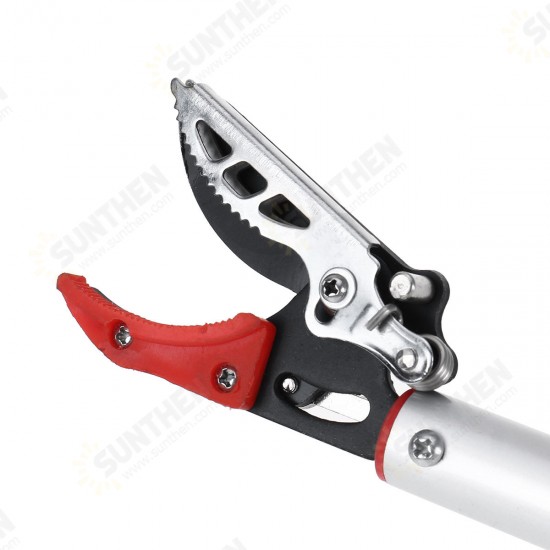 Professional Grafting Tool, Pruning Garden Shears for Cutting Stems, Light Branches of Trees, Rose Bush, Fruit, Shrubs and Hedges