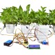 DIY Automatic Flower Watering Kit for Maker competition STEAM Education Mixly Programming