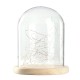 15*18.5cm Glass Dome Display Jar Clothe Decor Wooden Base w/ Fairy LED Light