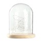 15*18.5cm Glass Dome Display Jar Clothe Decor Wooden Base w/ Fairy LED Light