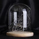 15*18.5cm Glass Dome Display Jar Clothe Decor Wooden Base w/ Fairy LED Light