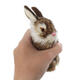 Gray/Yellow/Brown/White Rabbits Handmade Easter Bunnies Home Decorations Desktop Ornament Gray/Yellow/Brown/White Rabbits Handmade Easter Bunnies Home Decorations Desktop Ornament