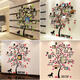 Removable Family Photo Frame Tree Sticker Living Room Wall Decals DIY Wall Decor Removable Family Photo Frame Tree Sticker Living Room Wall Decals DIY Wall Decor