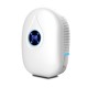 22W Mini Dehumidifier Intelligent Timing Portable Bedroom Basement Home Air Dryer Machine