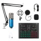 Professional BM800 HD Drive USB Condenser Microphone Kit + V8 Plus Sound Card with Stand Mount