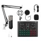 Professional BM800 HD Drive USB Condenser Microphone Kit + V8 Plus Sound Card with Stand Mount