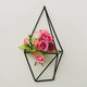 2 Pcs Wall Mounted Geometric Flower Stand Wall Hanging Wrought Iron Plant Storage Rack Holder Home Office Decor