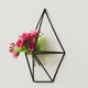 2 Pcs Wall Mounted Geometric Flower Stand Wall Hanging Wrought Iron Plant Storage Rack Holder Home Office Decor