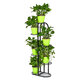 6 Tiers Metal Plant Stand Flower Pot Holder Plant Display Shelves for Garden Home Office Indoor Outdoor