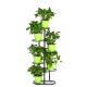 6 Tiers Metal Plant Stand Flower Pot Holder Plant Display Shelves for Garden Home Office Indoor Outdoor