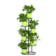 6 Tiers Metal Plant Stand Flower Pot Holder Plant Display Shelves for Garden Home Office Indoor Outdoor