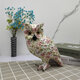 Colorful Owl Ornaments Creative Creative Art Animal Resin Crafts Home Office Desktop Decorations Accessories Colorful Owl Ornaments Creative Creative Art Animal Resin Crafts Home Office Desktop Decorations Accessories
