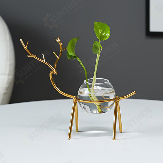 Desktop Hydroponic Vase Flowerpot Decoration Fresh Desktop Small Fish Tank Office Desk Living Room Creative Plant Vase Decoration