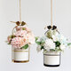 Nordic Vase Hanging Basket Wrought Iron Flower Pot Hanging Iron Frame Flower Stand Hydroponic Flower Pot Modern Wall Decoration Decoration