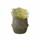 Sea grass Belly Basket Storage Plant Pot Foldable Laundry Nursery Room Decor