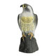 Simulation Falcon Hawk Decoy Bird Pigeon Deterrent Scarer Repeller Garden Lawn Decor Hallowmas Decoration Simulation Falcon Hawk Decoy Bird Pigeon Deterrent Scarer Repeller Garden Lawn Decor Hallowmas Decoration
