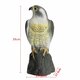 Simulation Falcon Hawk Decoy Bird Pigeon Deterrent Scarer Repeller Garden Lawn Decor Hallowmas Decoration Simulation Falcon Hawk Decoy Bird Pigeon Deterrent Scarer Repeller Garden Lawn Decor Hallowmas Decoration