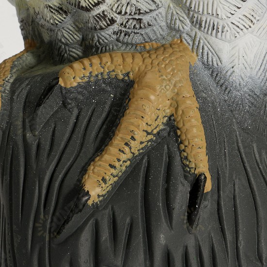 Simulation Falcon Hawk Decoy Bird Pigeon Deterrent Scarer Repeller Garden Lawn Decor Hallowmas Decoration Simulation Falcon Hawk Decoy Bird Pigeon Deterrent Scarer Repeller Garden Lawn Decor Hallowmas Decoration
