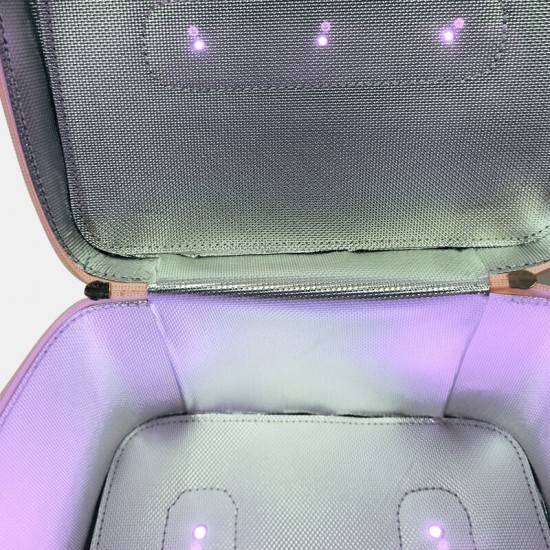 13 LED Lights UV Disinfection Pack Portable LED Ultraviolet Light Anion Sterilizer Box