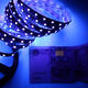 5M UV SMD2835 395-405NM Purple 300 LED Waterproof Strip Light + DC Connector + Power Supply 12V 5M UV SMD2835 395-405NM Purple 300 LED Waterproof Strip Light + DC Connector + Power Supply 12V