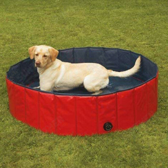 160cm Foldable Pet Bath Swimming Pool Collapsible Dog Pool Pet Bathing Tub Pool Kiddie Pool for Dogs Cats and Kids