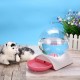 2.8L Automatic Animals Water Fountain Cat Cat Dog Water Dispenser Large Intersting Drinking Bowl Plastic Automatic Feeders