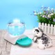 2.8L Automatic Animals Water Fountain Cat Cat Dog Water Dispenser Large Intersting Drinking Bowl Plastic Automatic Feeders