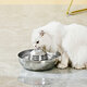 2L Dog Water Smart Fountain Dispenser 360° drinkable Bowl Cat Feeder Puppy Stainless Steel Intelligent Pet Supplies Ultra-Quiet Pump