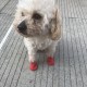 4/8Pcs Dog Cat Rain Protective Boots Waterproof Puppy Pet Shoe Covers Boots Anti-Slip
